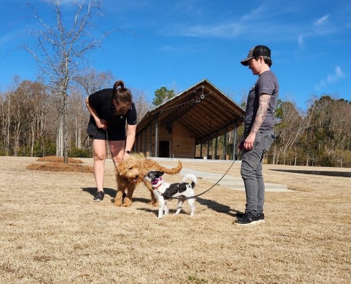 All-Inclusive Dog Training Services