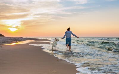 Advanced Obedience Training for Off-Leash Beach Days: How We Prepare Charleston Dogs for Real-World Freedom